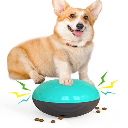 Squeaky Bite-Resistant Puppy Supplies Dog Float Toy